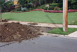 Lawn Sod Installation: Backyard Install/Patio