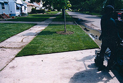 Lawn Sod Installations: Basic Sod Install