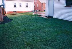 Lawn Sod Installations: Lawn Renovation