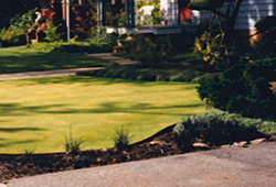 Lawn Sod Installations: Putting Green Install 2