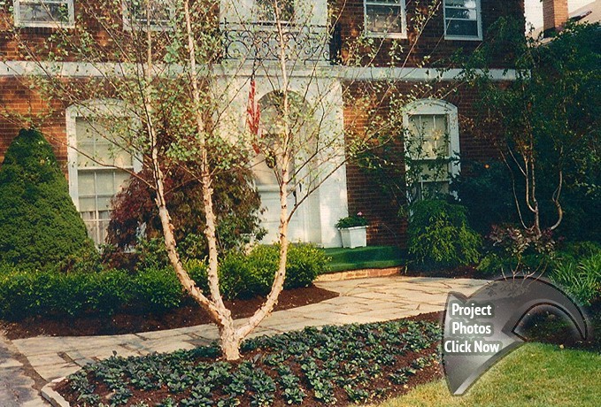 PLANT DESIGN ARRANGEMENTS