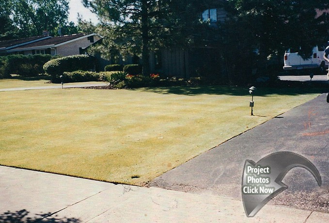 OTHER SERVICES SPECIALITIES